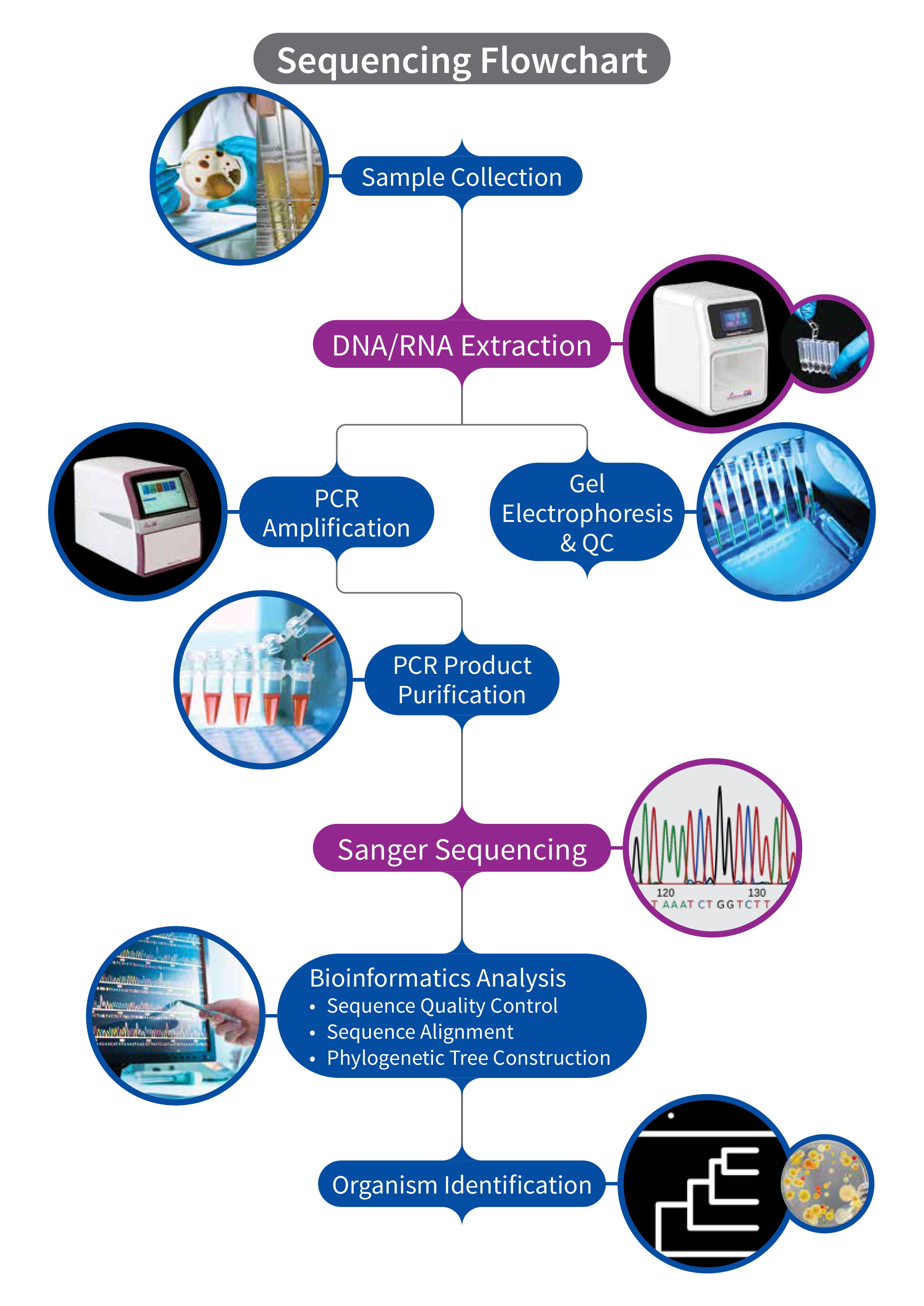 Figure 3 - Sequencing Flowchart